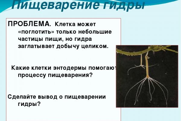 Восстановить доступ к кракену
