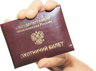 Дарк нет вход