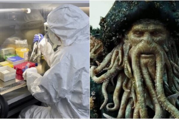 Kraken сайт вход