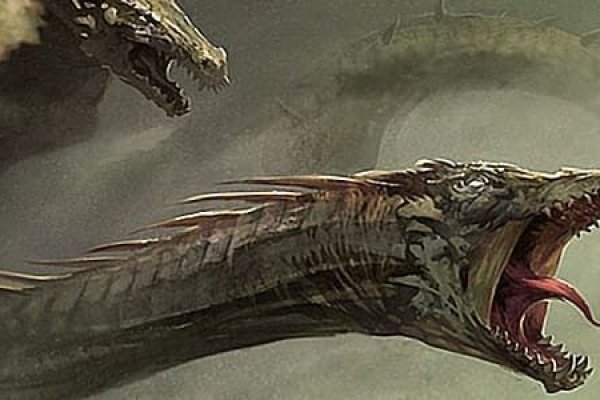 Kraken20 at
