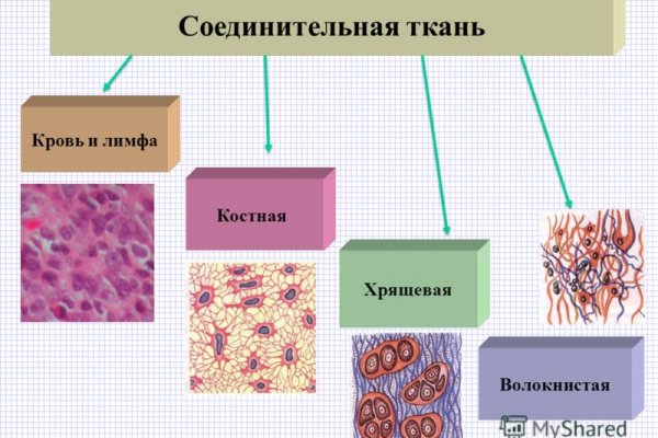 Сайт кракен тор