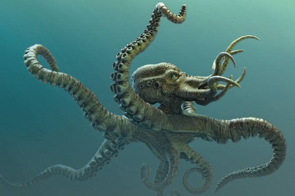 Kraken торговая площадка ссылка