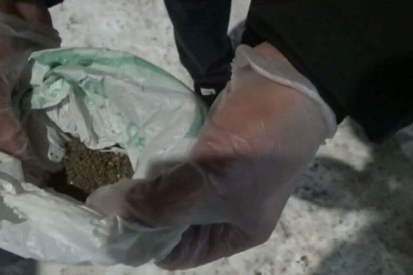 Даркнет официальный сайт вход