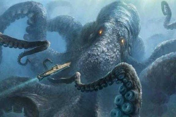 Kraken istand onion