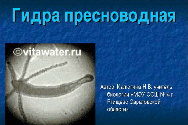 Официальный сайт kraken kraken clear com