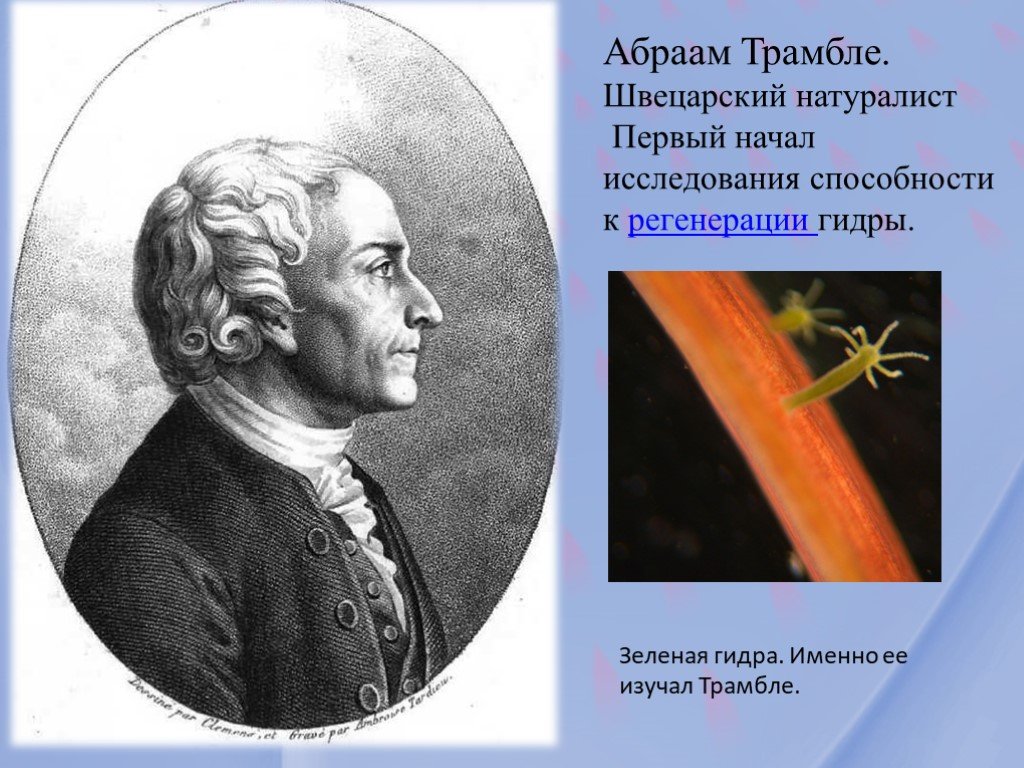 Кракен сайт kr2web