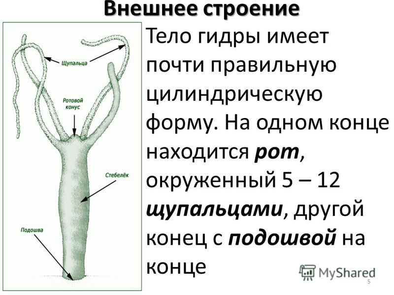Kra26.at